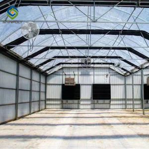 Buy cheap 30m Herbs Automated Light Deprivation Greenhouse from wholesalers