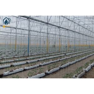 Tomato Hydroponic PP Roll Vegetables Planting Gutter In Modern Farming