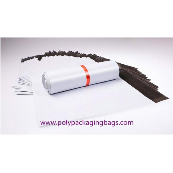 Tear Resistant 6x10 Poly Bubble Envelope With Pressure Sensitive Glue