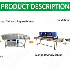 Buy cheap Semi Automatic Banana Chips Processing Line Raisin Washing And Drying Machine Cassava Cleaning Machine from wholesalers