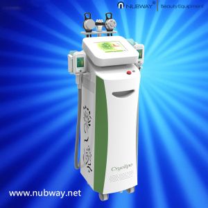 Buy cheap Newest design! Multifunctional cryolipolysis slimming machine / cryolipolysis equipment from wholesalers