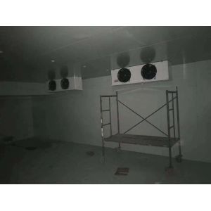 COLDROOM32 Modular PU Panel Storage Room with Refrigeration Condensing