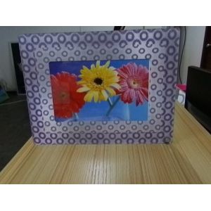 PLASTIC LENTICULAR 360 degree 3d photo three dimensional depth fly eye lens