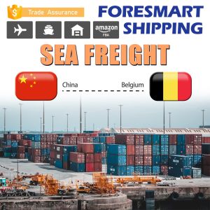 Buy cheap 40HQ Shipping From China To Belgium FCL Sea Freight from wholesalers