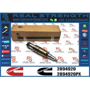 Buy cheap 2894920 for Scania Engine Diesel Common Rail Fuel Injector High Performance Auto Engine Parts Car Engine Systems Assembly from wholesalers