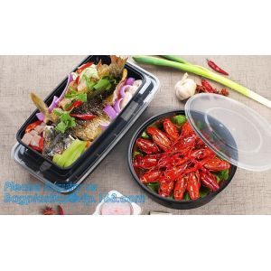 Plastic Food Container Lunch Box With 5 cells Compartments 304 Stainless Steel