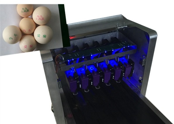 Buy cheap High Resolution Egg Printing Machine / Date Code Printing Machine from wholesalers