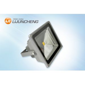 LED Flood lighting 50W