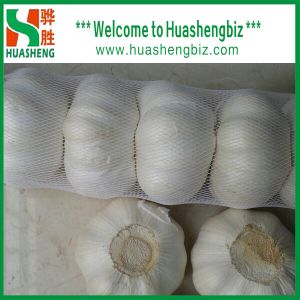 Buy cheap Fresh Pure White Garlic product