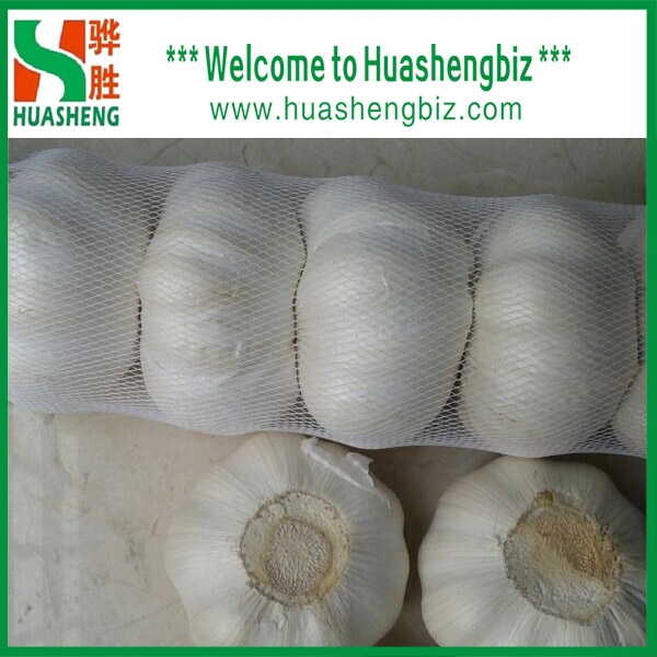 Quality Fresh Pure White Garlic for sale
