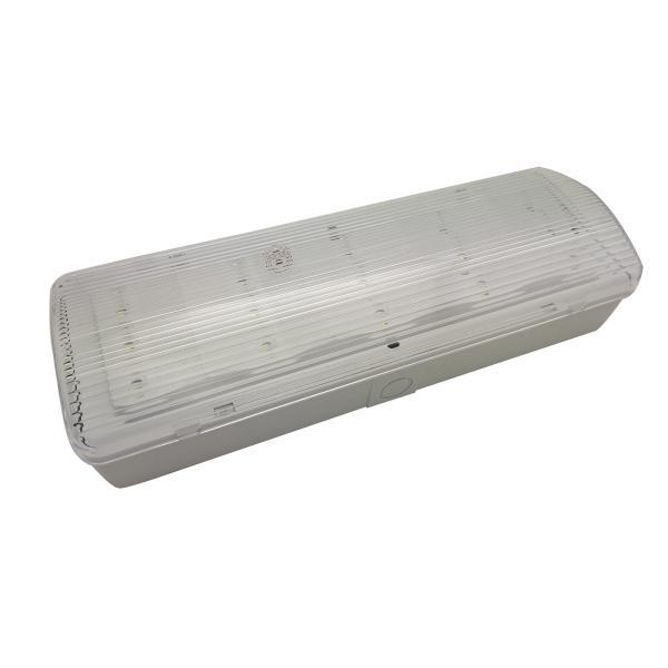 220V Customized Rechargeable Emergency Light , Led Automatic Emergency Light IP