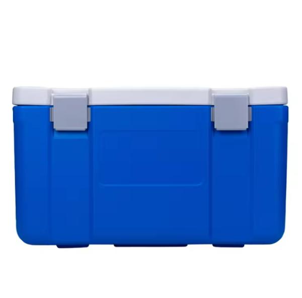 Quality FS-65L Ice Cooler Box with Passive Cooling Method and 7.9Kg Single Gross Weight for Food Logistics for sale