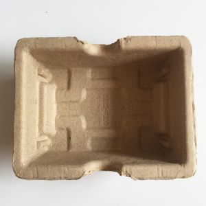 Biodegradable Cosmetic Bottle Packaging Pulp Container Molded Pulp Packaging