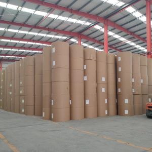 Buy cheap Recycled Offset Paper Packaging Printing Customized White Woodfree Paper product