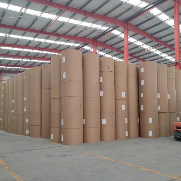 Buy cheap Recycled Offset Paper Packaging Printing Customized White Woodfree Paper from wholesalers