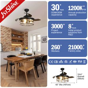 42 Inches Farmhouse Retractable Ceiling Fan Light Invisible Blade