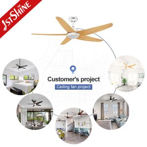 Lamp Luminous Flux lm 1275 Modern Adjustable LED Light Ceiling Fan with Remote