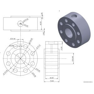 2" CL600 Bleed ring ASTM A182 F51