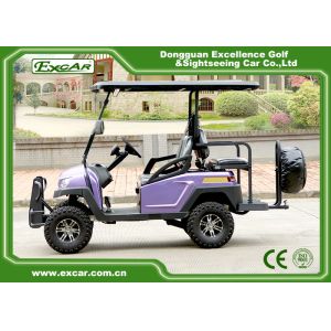 Buy cheap EXCAR Electric Hunting Buggy With Trojan Battery/Curtis Controller from wholesalers