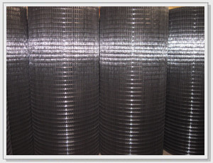 Quality Black PVC Coated Welded Steel Wire Mesh Low Carbon 6mm for sale