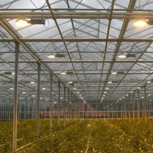 Buy cheap Agricultural Farm Multispan Polycarbonate Panels Greenhouse with Shading System from wholesalers