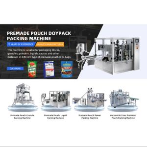 WG250 Electric Automatic Food Doypack Premade Pouch Packing Machine SUS304