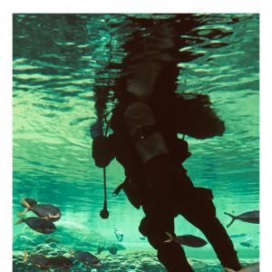 Buy cheap Flashlight Underwater Diving light High Lumens CRI90  36 28 RGB COB LED from wholesalers