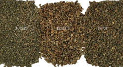 Green Coffee Bean Color Sorting Mini Roasted Raw Coffee Color Sorter