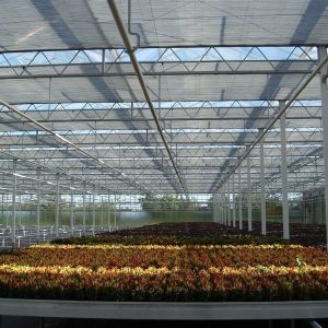 Inner Shading System Aluminium Foil Greenhouse Shade Netting Agriculture