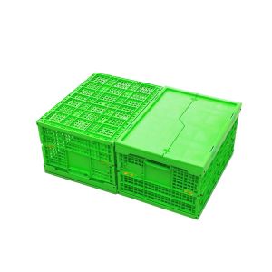 Buy cheap Customized Green PP Plastic Folding Crate Mesh Body + Solid Bottom from wholesalers