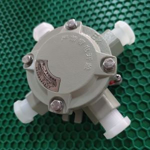 Buy cheap 4" 1" Round Explosion Proof Junction Box Manufacturers In ChinaⅡB ⅡC Class WF2 Oil Gas from wholesalers