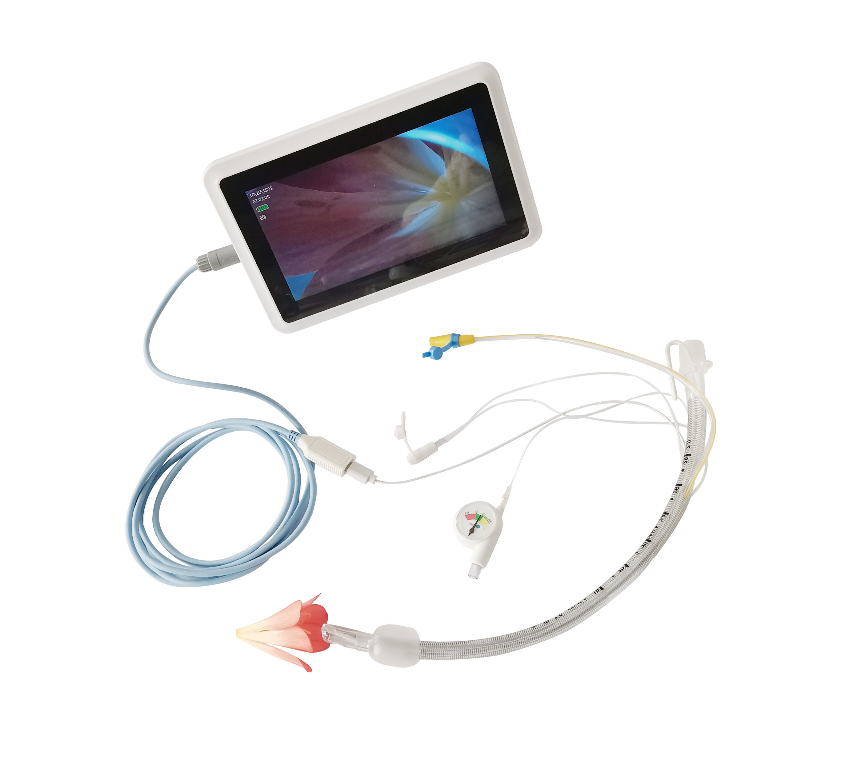 Buy cheap Innovative Visual Endotracheal Intubation Precise Positioning Safe Worry Free product