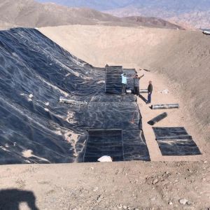 Waterproof Reservoir Pond Lining and Dam Liner HDPE Geomembrane Sheet Length 50m