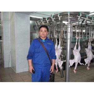 Buy cheap 300 Chickens / H Poultry Farming Equipment Scalding Plucking Slaughtering Machine from wholesalers