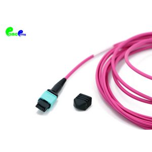 8F OM4 MPO Trunk Cable MPO Female to SC UPC 8F 50 / 125μm Fanout 2.0mm Magenta