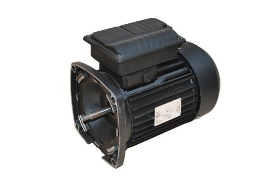 Special Motors For POOL Spa pumps