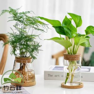 China Customized Wood Holder Desktop Plant Glass Vase Plant Propagation Terrarium on sale