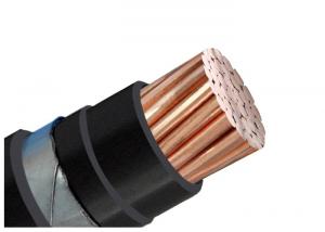 Buy cheap Single Core Armoured Electrical Cable 1kV  Copper Conductor PVC Insulated Stainless Steel Tape Armored Cable product