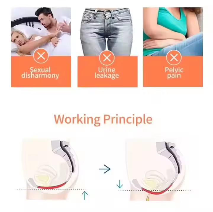 Buy cheap Urinary Incontinence Recovery Non Invasive EMS Stimulateing Chair from wholesalers