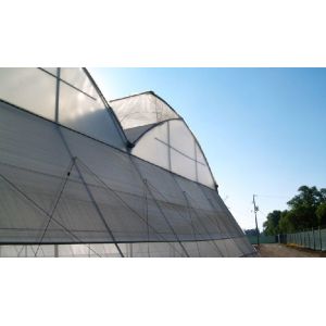 China Efficient Insulation Multi Span Greenhouse / Large Plastic Greenhouse Strong Applicability on sale