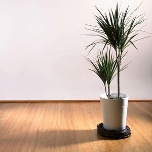 14mm Extra Wide Engineered Stranded Bamboo Parquet Flooring with Varnish from