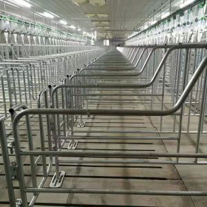 Buy cheap 2.5mm tube Sow Raising Pig Gestation Crate from wholesalers