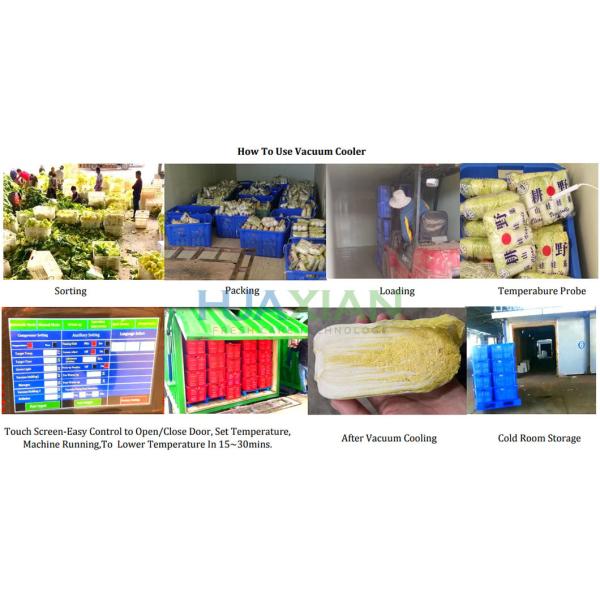 3000kgs Vegetable/Fruit Vacuum Cooler, Double Chamber Economic Farm Cooling Machinery Cooler