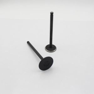 Buy cheap 6D16T Cylinder Exhaust Valve from wholesalers