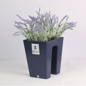 Buy cheap H22cm Saddle Shaped Self Watering Houseplant Pots For Balcony Or Office Table from wholesalers