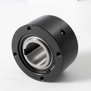BS-K BS RK Series Backstopping Grease Lublication Overrunning Clutch