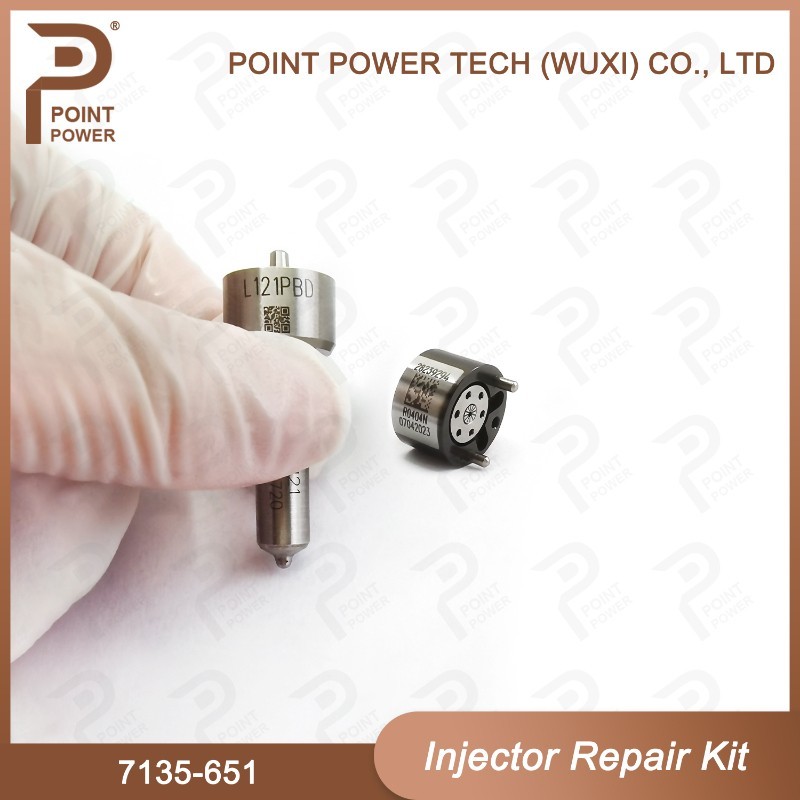 7135-651 Delphi Injector Repair Kit For Injector R02201Z Nozzle-CVA Kit With