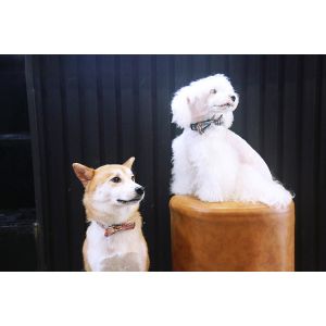 Buy cheap 1.5cm 0.59 Inch Comfortable Bow Tie Ribbon Dog Collars With Nameplate Korea Style from wholesalers