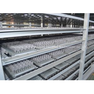 Automated Waste Paper Egg Tray Moulding Machine High Efficiency