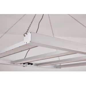 Foldable 8T Greenhouse Grow Lights 800W 1000w Hps